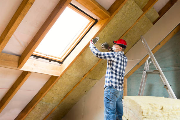 Best Eco-Friendly or Green Insulation Solutions in Marina Del Rey, CA